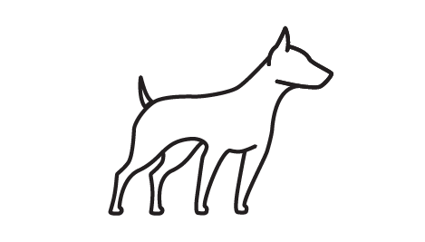 Icon of a dog